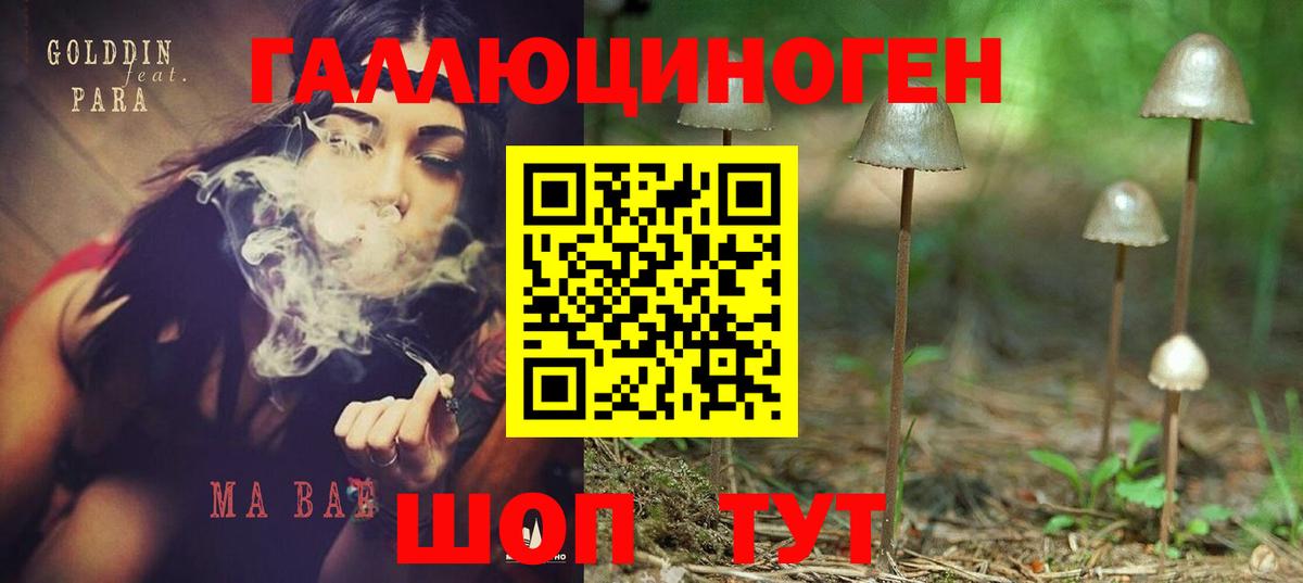 Галлюциногенные грибы Psilocybe  Вход с VPN  Киреевск 
